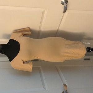 American Apparel bodycon jersey dress